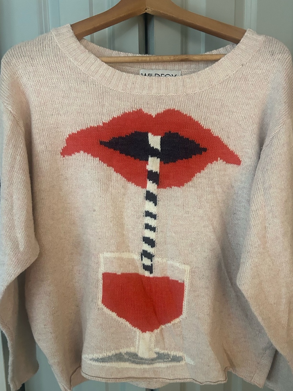 Wildfox Pink Novelty Straw Sweater with Red Lip Graphic